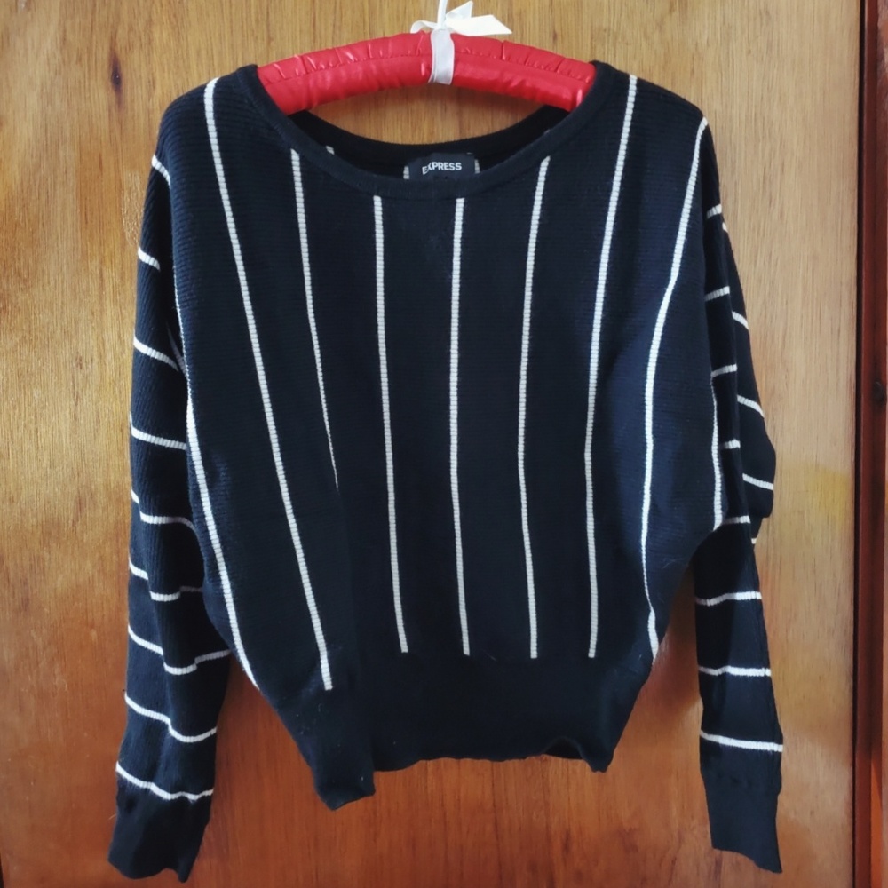 Express | black & white striped sweater